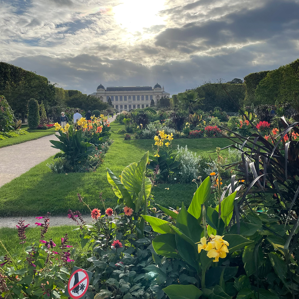 דנה בפריז סיורים בפריז בעברית Jardin des plantes
